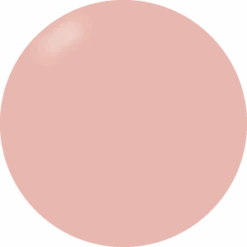 Presto Color Gel #009 [Bottle](115255)