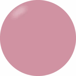 Presto Color Gel #015 [Jar](114369)