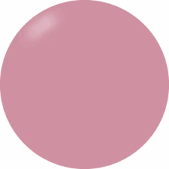 Presto Color Gel #015 [Bottle](115256)