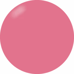 Presto Color Gel #020 [Jar](114370)