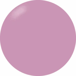 Presto Color Gel #051 [Bottle](115680)