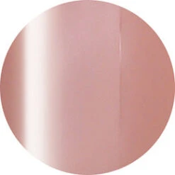 Ageha Gel Opti Color #1-06 Old Rose Skin [Jar](116134)