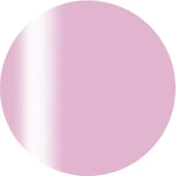 Ageha Gel Opti Color #1-25 Airy Sweet [Jar](119845)