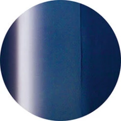 Ageha Gel Opti Color #3-06 Deep Indigo [Jar](116592)