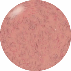 Presto Color Gel #329 [Bottle](115337)