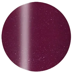 Presto Color Gel S395(115450)