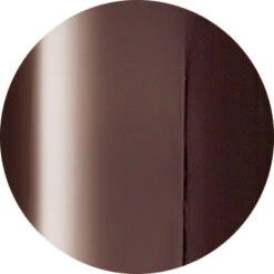 Presto Color Gel HL010 [Jar] [J078](117602)