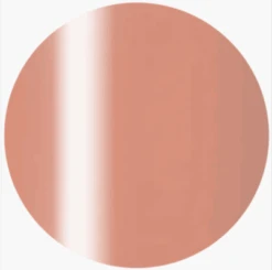 Presto Color Gel S158(115388)