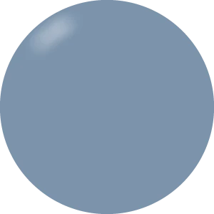 Presto Color Gel S283(115771)