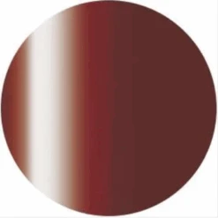 Presto Color Gel S295(115775)