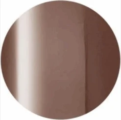 Presto Color Gel S316(115791)