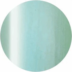 Presto Color Gel S333(117020)