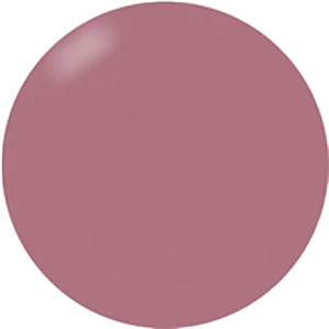 Presto Color Gel S346(117021)