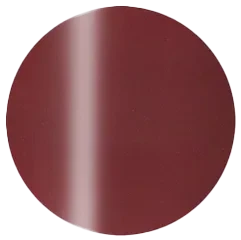 Presto Color Gel S389(115444)