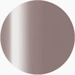 Presto Color Gel S405(116436)