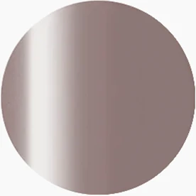 Presto Color Gel S405(116436)