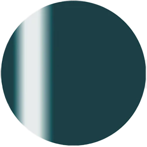 Presto Color Gel S448(117391)