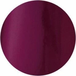 Presto Color Gel S077(115378)