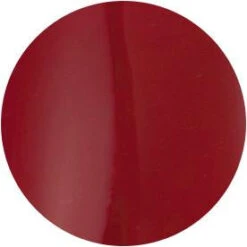 Presto Color Gel S099(115379)