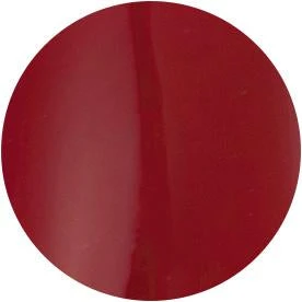 Presto Color Gel S099(115379)