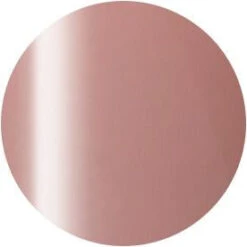 Presto Color Gel S276(115400)