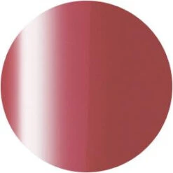 Presto Color Gel S286(115402)