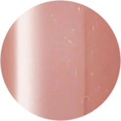 Presto Color Gel S314(115789)