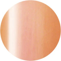 Presto Color Gel S331(117019)