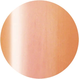 Presto Color Gel S331(117019)