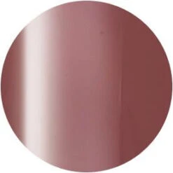 Presto Color Gel S339(115412)