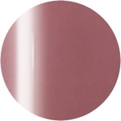 Presto Color Gel S359(115422)