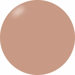 Presto Color Gel S481(Presto Color Gel S481 New)