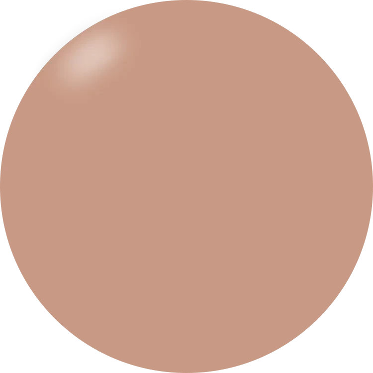 Presto Color Gel S481(Presto Color Gel S481 New)