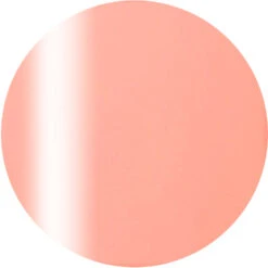 Ageha Gel Opti Color #2-06 Pink Nectar [Jar](118629)