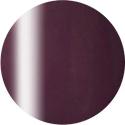 Ageha Gel Opti Color #2-10 Canele [Jar](118633)