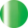 Ageha Gel Opti Color #2-04 Neon Green [Jar](115871)
