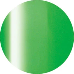 Ageha Gel Opti Color #2-04 Neon Green [Jar](115871)