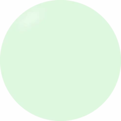 Presto Color Gel S450(117393)