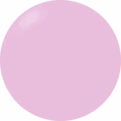 Presto Color Gel S454(117397)