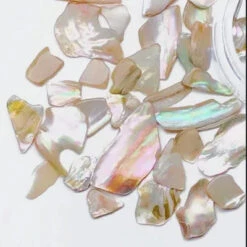 Ageha Shell Jewel Nude (MB)(112816)