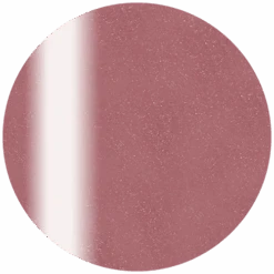 Presto Color Gel S458(117401)