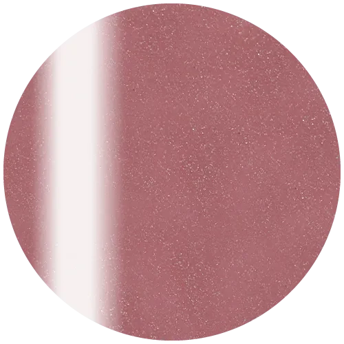 Presto Color Gel S458(117401)