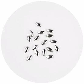 Nail Labo Metal Seeds Silver 200pcs(005001)